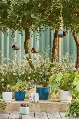 Auchan Gardenstar décoration de jardin offre