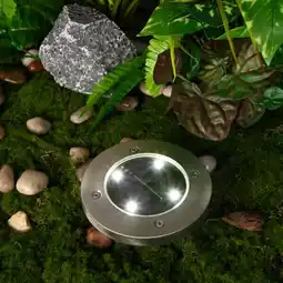 Auchan Gardenstar lot de 4 spots solaires led offre