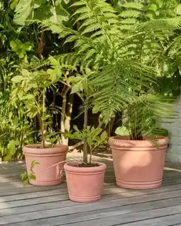 Auchan Gardenstar pot tradition en terre cuite offre