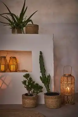 Auchan Gardenstar cache pot et luminaires offre