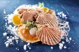 Auchan Sans marque coquilles saint-jacques offre