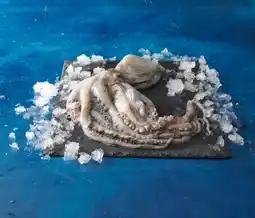 Auchan Sans marque poulpe offre