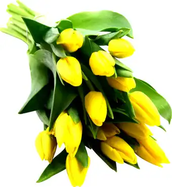 Sans marque bouquet 14 tulipes