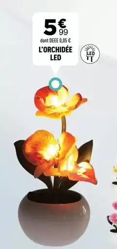 Centrakor L'orchidée led offre