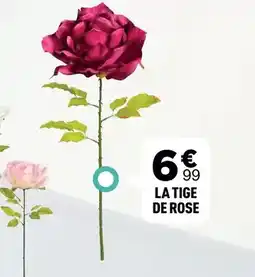 Centrakor La tige de rose offre