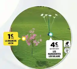 Centrakor Les marguerites led solaire offre