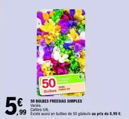 E.Leclerc 50 bulbes freesias simples offre