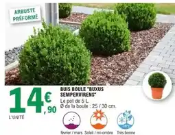 E.Leclerc Buis boule buxus offre