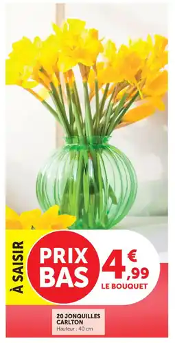 Bi1 20 jonquilles carlton offre