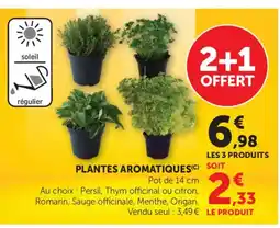 Bi1 Plantes aromatiques offre