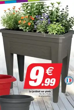 Bazarland Le jardinet sur pieds offre