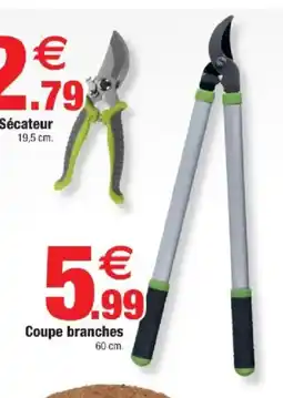 Bazarland Coupe branches offre