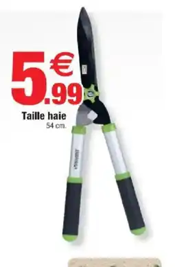 Bazarland Taille haie offre
