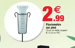 Bazarland Pluviomètre sur pied offre