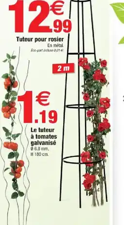 Bazarland Tuteur pour rosier offre