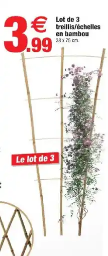 Bazarland Lot de 3 treillis/échelles en bambou offre