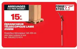 Brico Dépôt FORGE STEEL Ébrancheur télescopique lame offre
