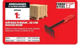 Brico Dépôt Râteau à main rouge noir offre