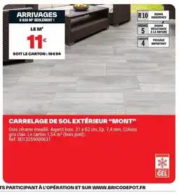 Brico Dépôt Carrelage de sol extérieur mont offre