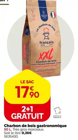 Weldom Soler charbon de bois gastronomique offre