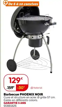 Weldom Naterial barbecue phoenix noir offre