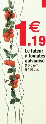 Bazarland Tuteur à tomates galvanisé offre