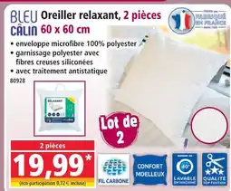Norma Bleu câlin oreiller relaxant, 2 pièces 60 x 60 cm offre