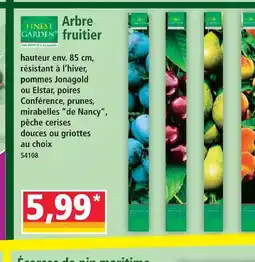 Norma Arbre fruitier offre