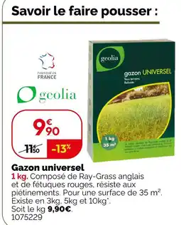 Weldom Geolia gazon universel offre