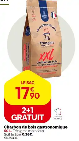Weldom Soler charbon de bois gastronomique xxl offre