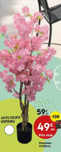 Maxi Bazar Pommier h.120cm offre