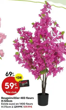 Maxi Bazar Bougainvillier 483 fleurs offre