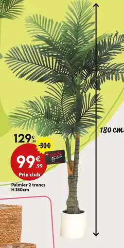 Maxi Bazar Palmier 2 troncs offre