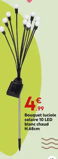 Maxi Bazar Bouquet luciole solaire 10 led blanc chaud offre