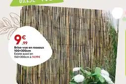 Maxi Bazar Brise-vue en roseaux 100×300cm offre