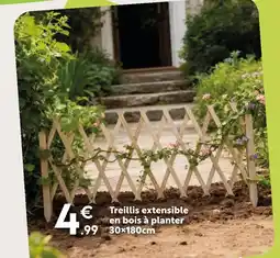 Maxi Bazar Treillis extensible en bois à planter offre