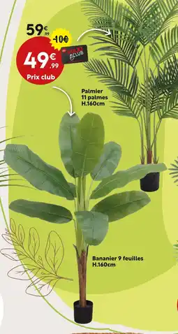 Maxi Bazar Bananier 9 feuilles h.160cm offre