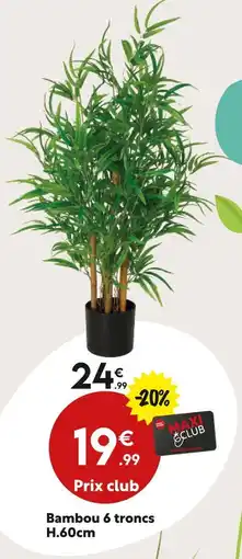 Maxi Bazar Bambou 6 troncs offre