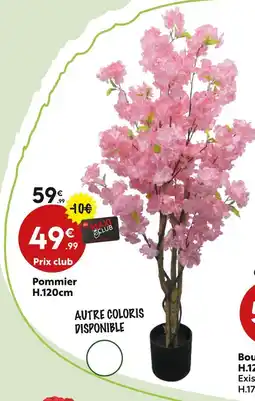 Maxi Bazar Pommier offre