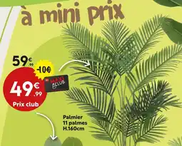 Maxi Bazar Palmier 11 palmes offre