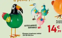 Maxi Bazar Oiseau tropical métal offre