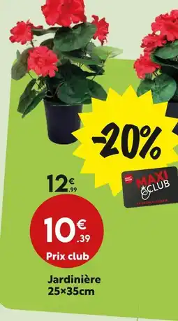 Maxi Bazar Jardinière offre