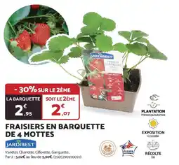 Bricomarché Fraisiers en barquette de 4 mottes offre