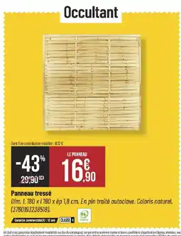 Bricorama Panneau tressé offre