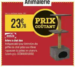 Bricorama ZOLUX Arbre à chat duo offre