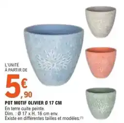 E.Leclerc Dim - pot motif olivier 0 17 cm offre