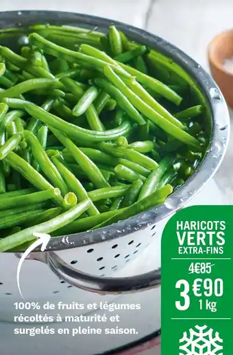 Haricots verts extra-fins
