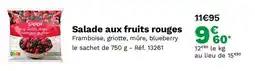 Picard Salade aux fruits rouges offre