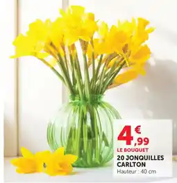 Maximarché 20 jonquilles carlton offre