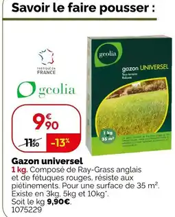 Weldom GEOLIA Gazon universel offre
